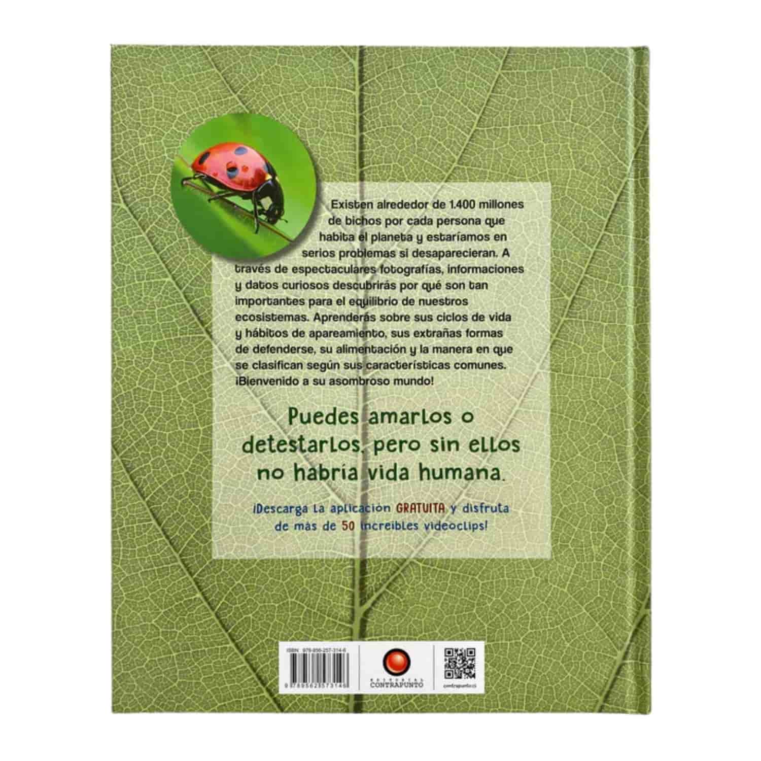 Imagen del producto 3