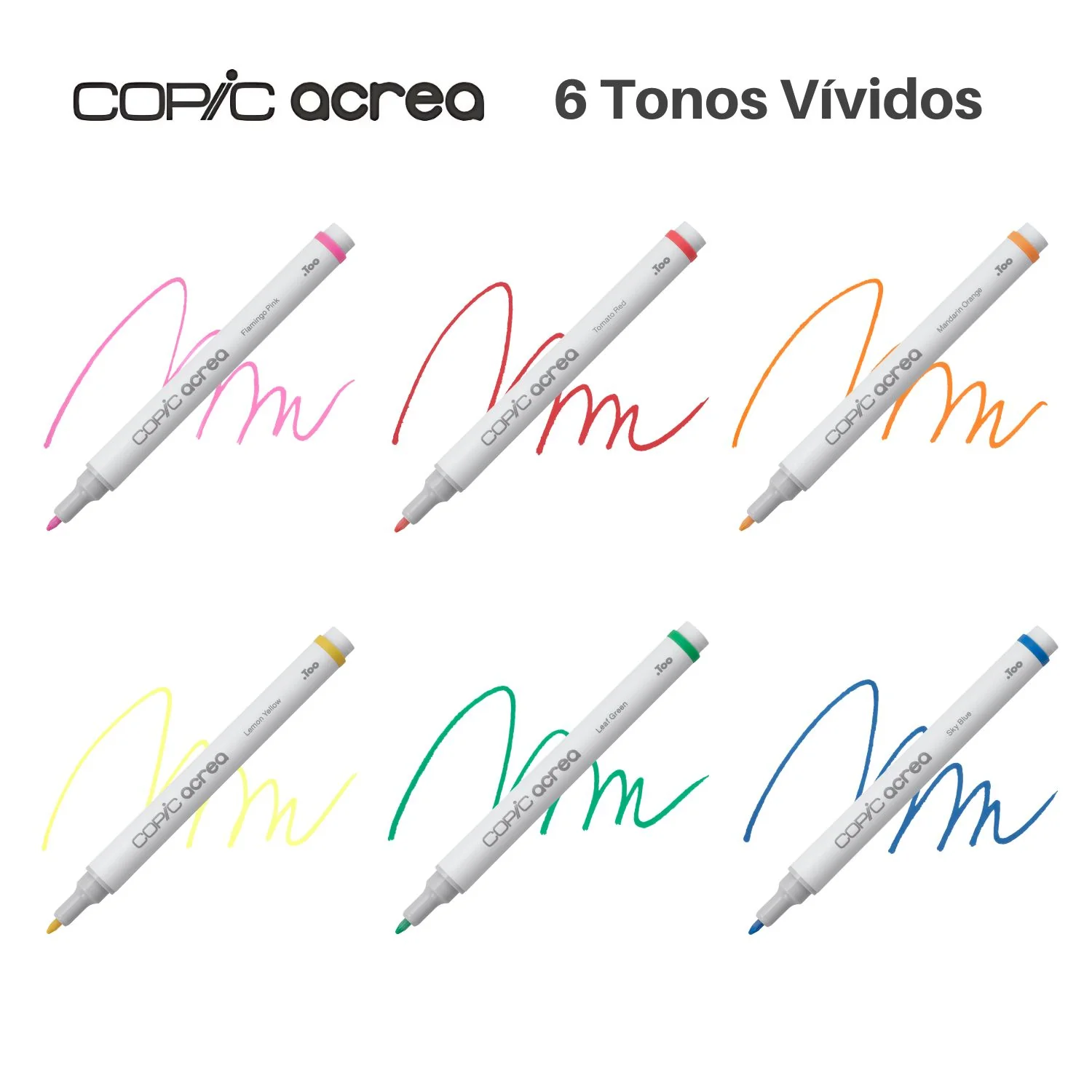 Imagen del producto 5