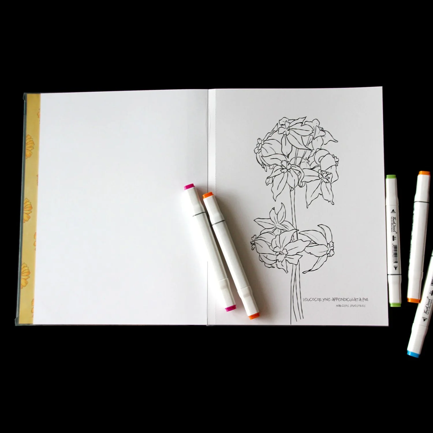 Imagen del producto 5