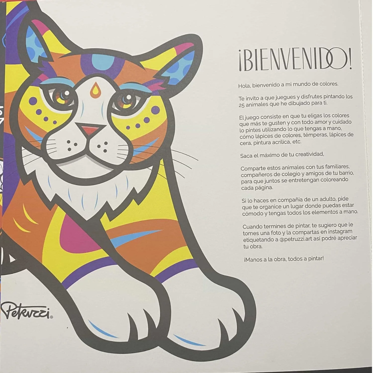 Imagen del producto 4