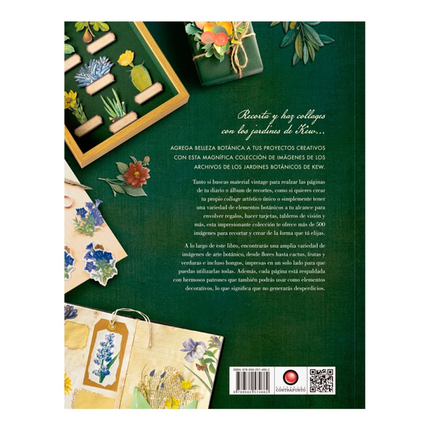Imagen del producto 5