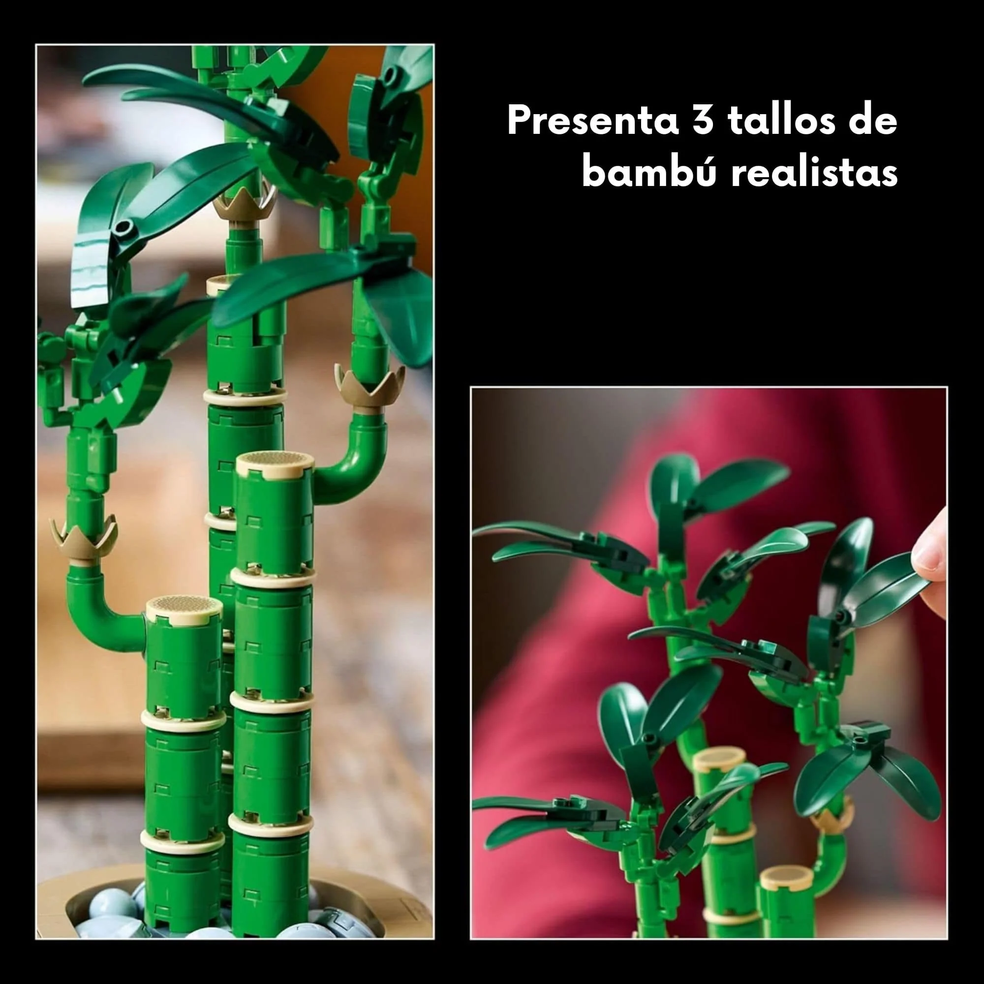 Imagen del producto 5