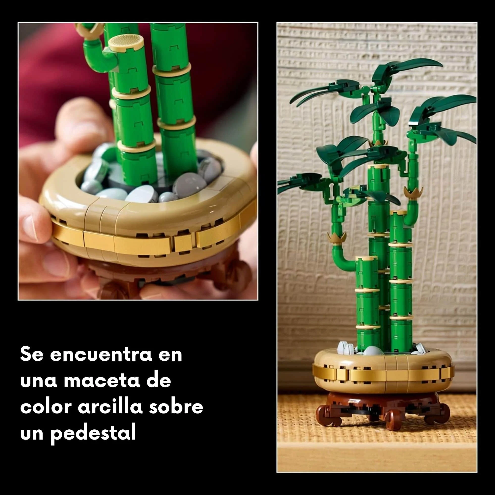 Imagen del producto 6