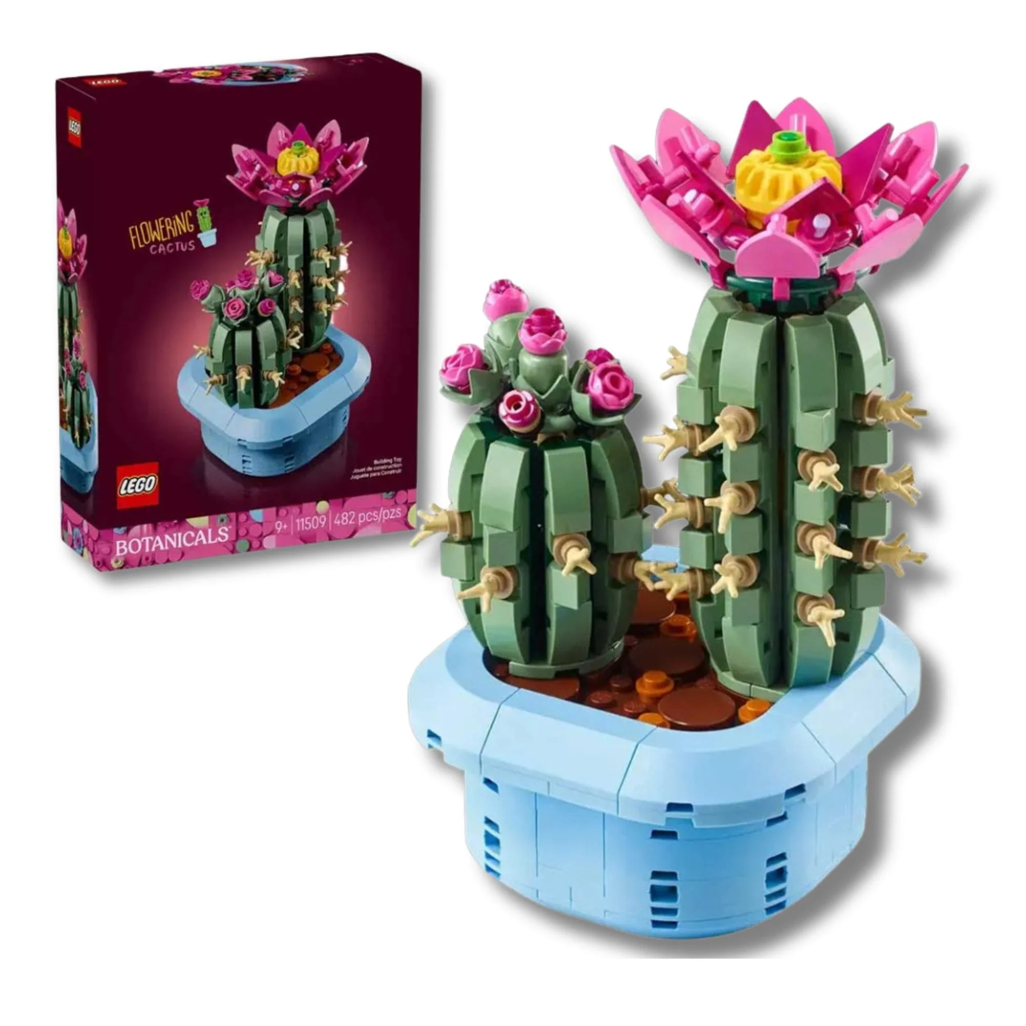 Miniatura 1