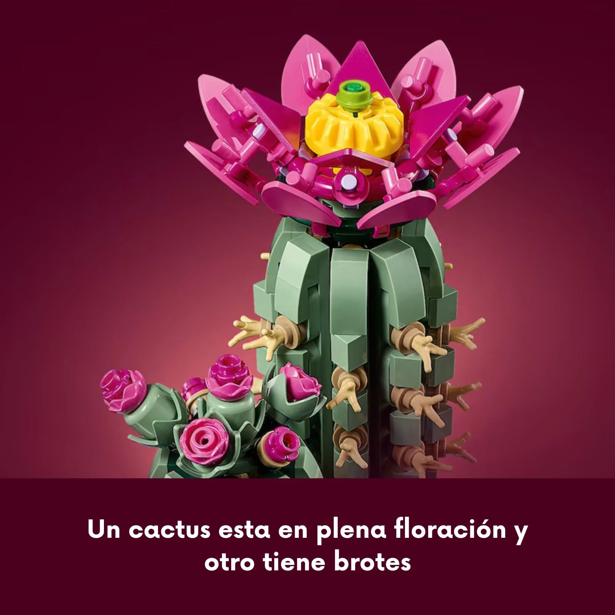 Imagen del producto 6