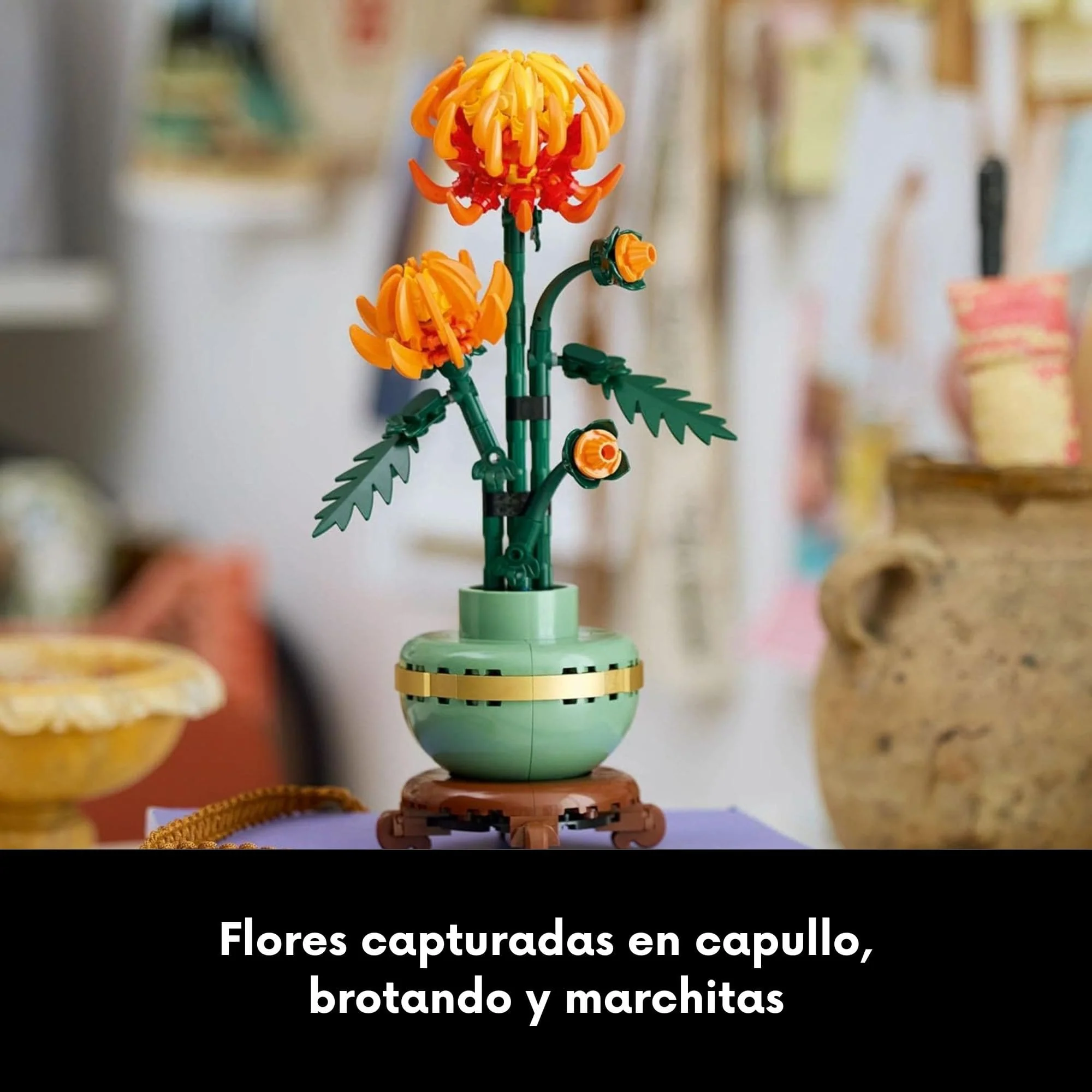 Imagen del producto 6