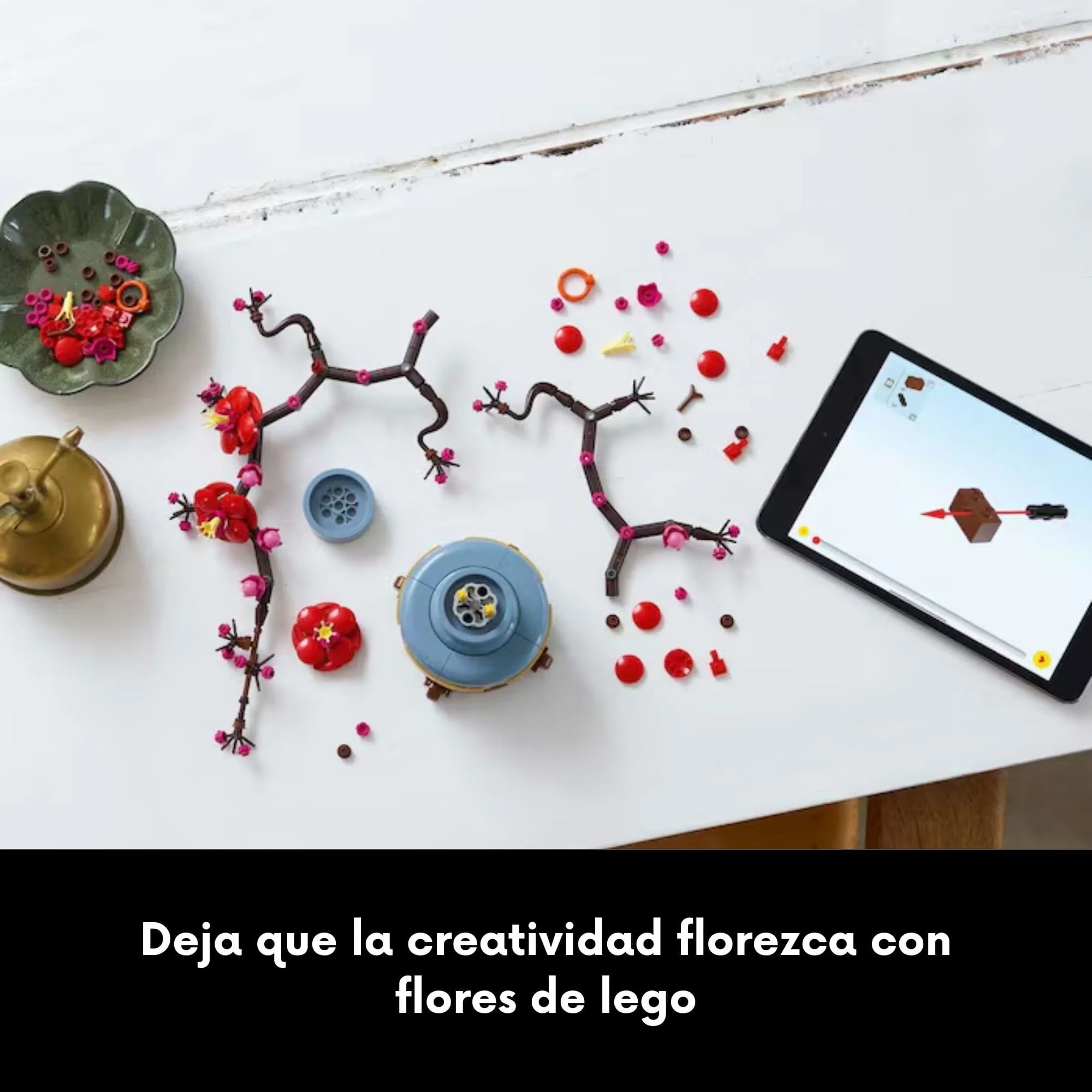 Imagen del producto 6