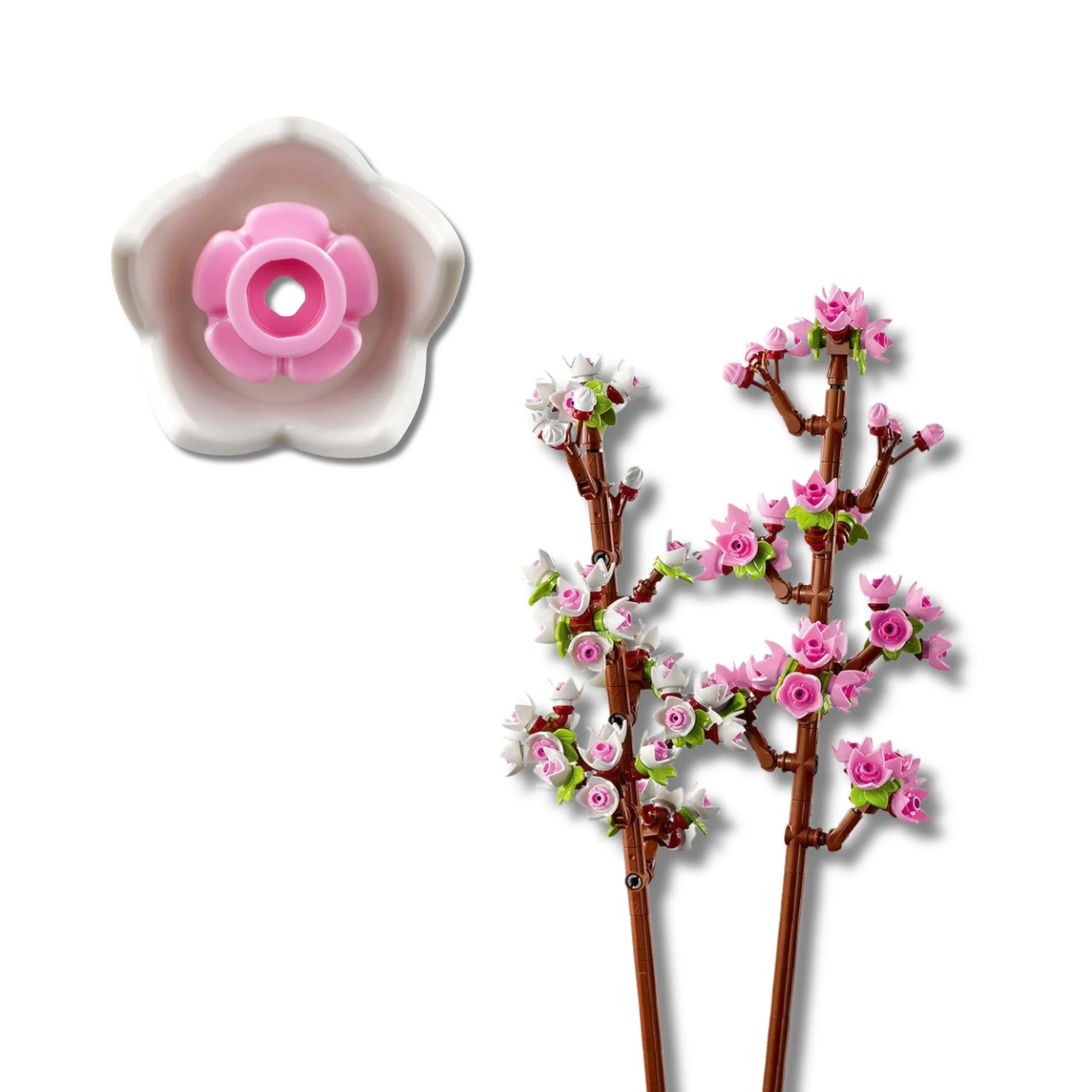 Imagen del producto 4