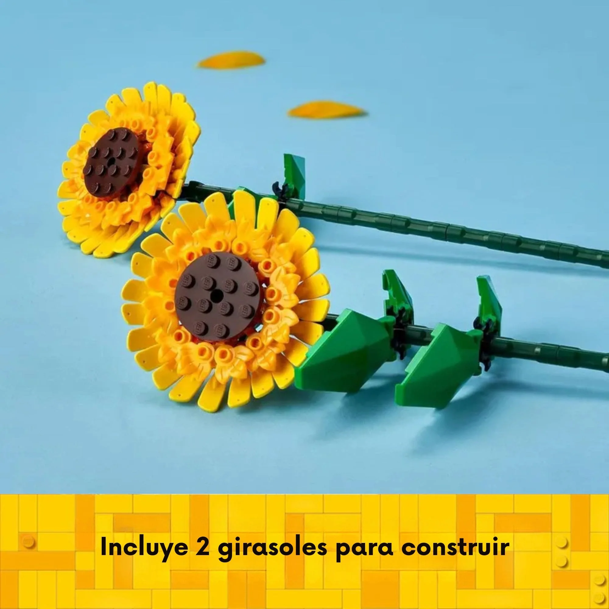 Imagen del producto 6
