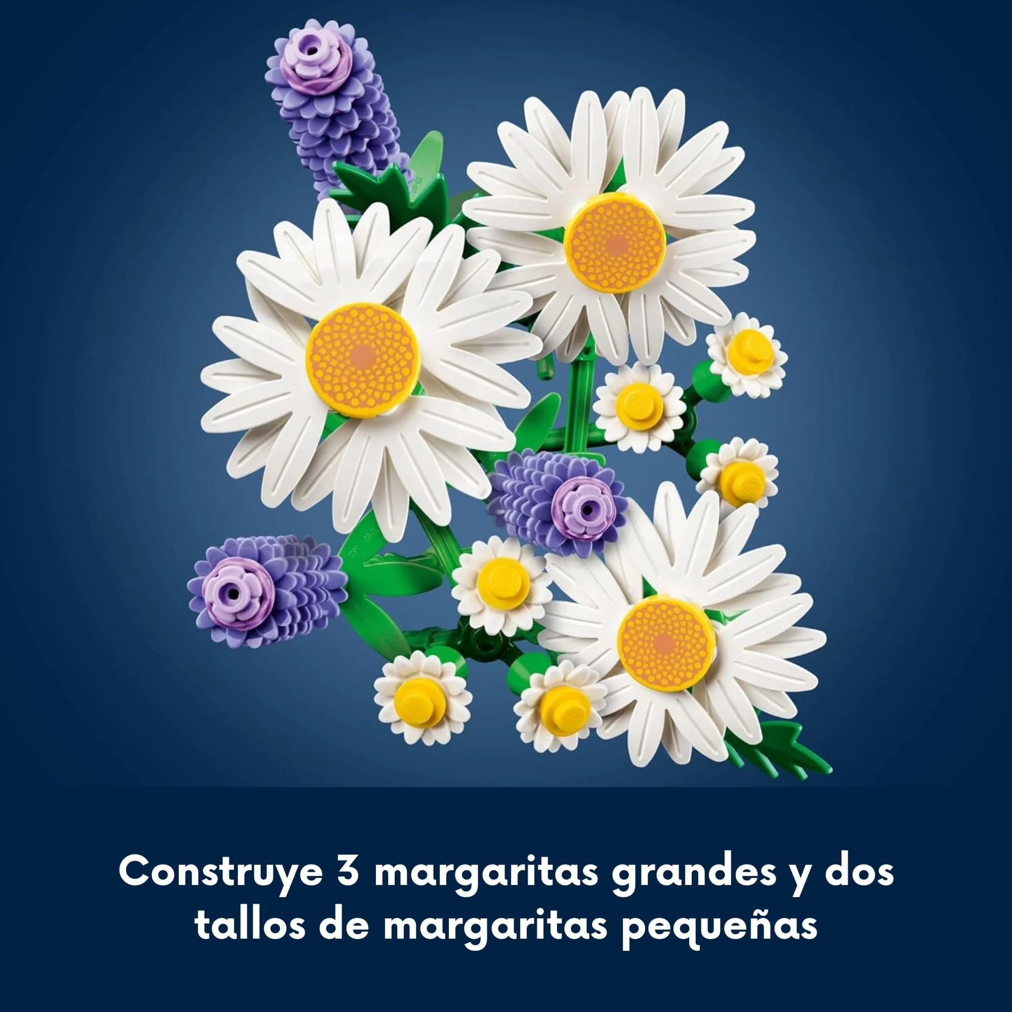 Imagen del producto 6