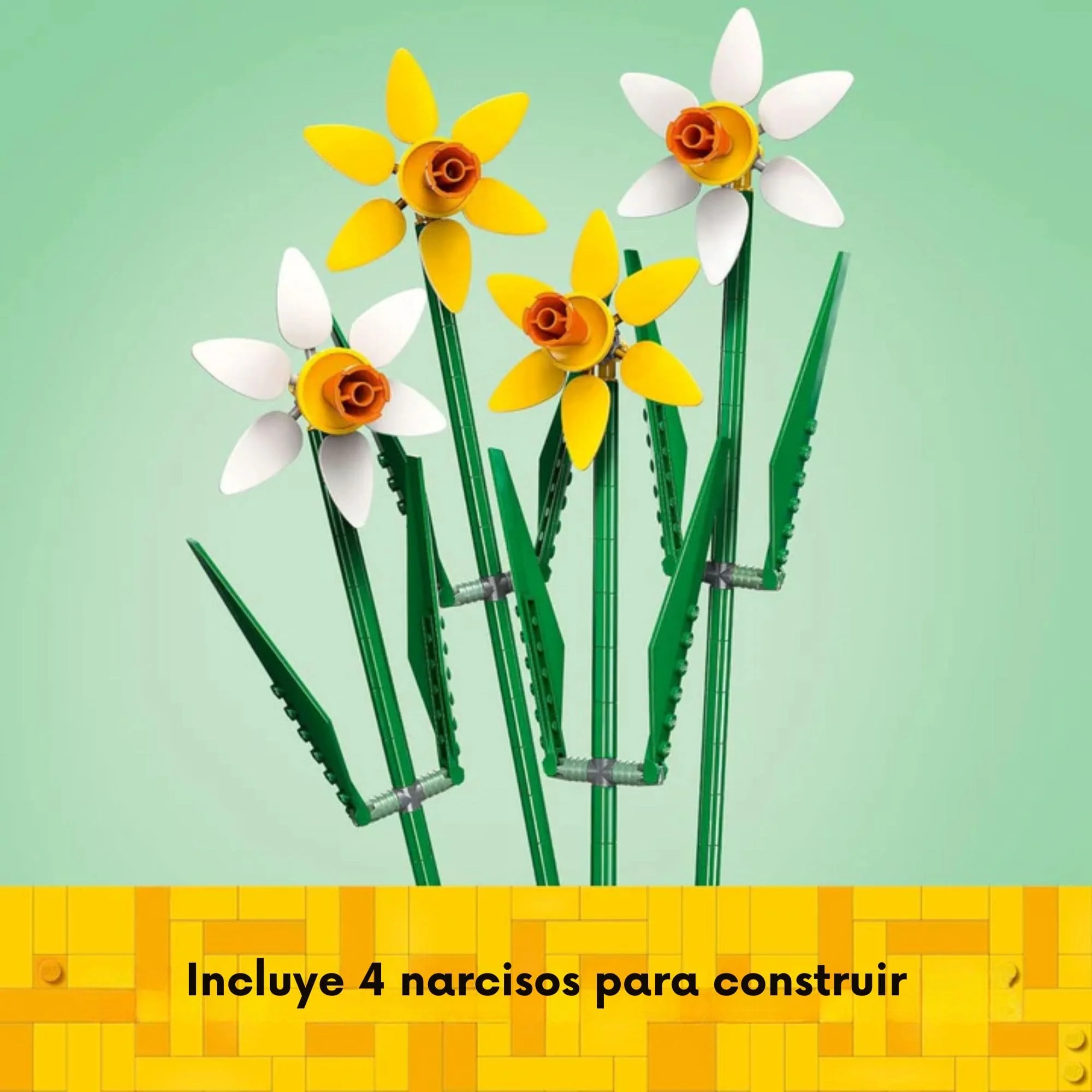Imagen del producto 6