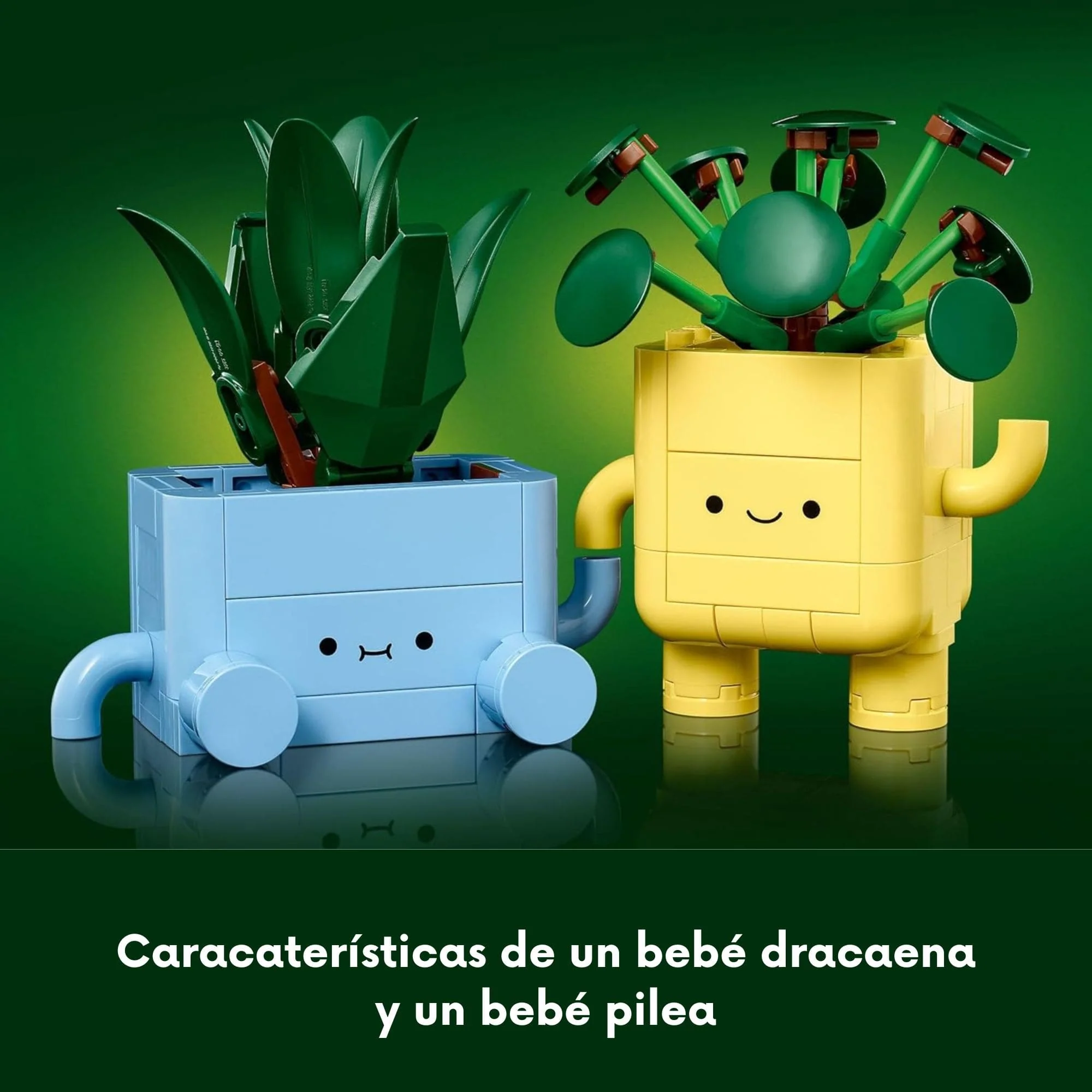 Imagen del producto 5