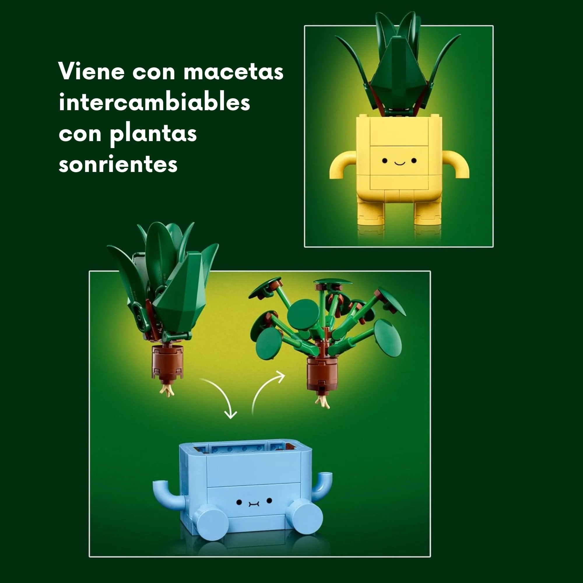 Imagen del producto 6