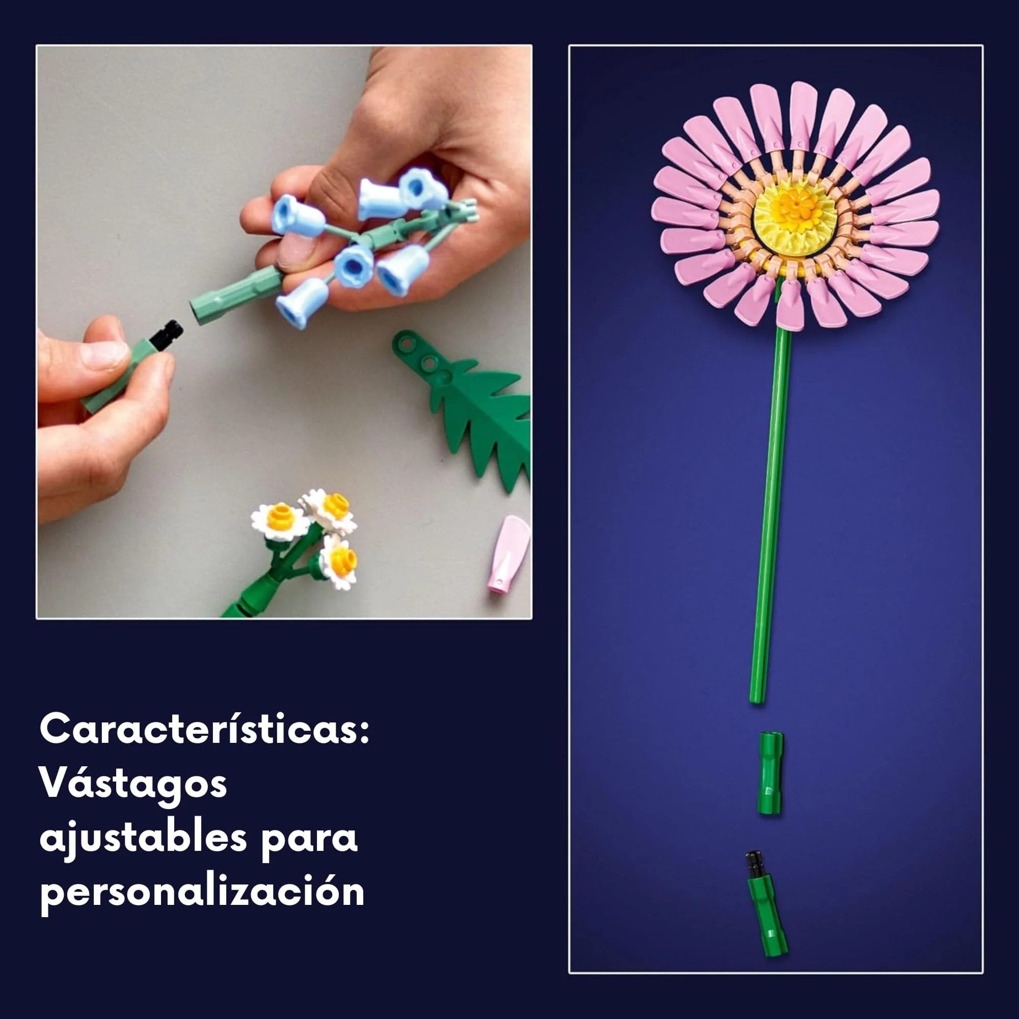 Imagen del producto 5