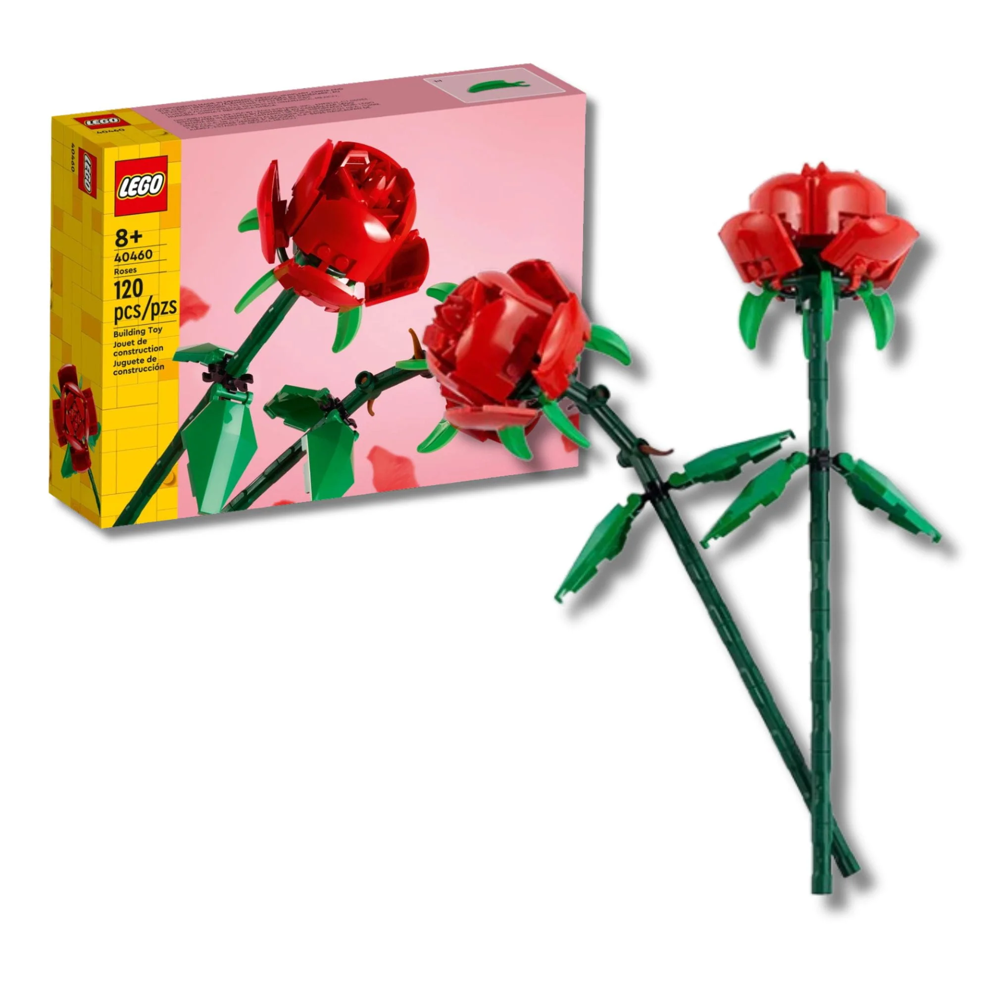 Miniatura 1