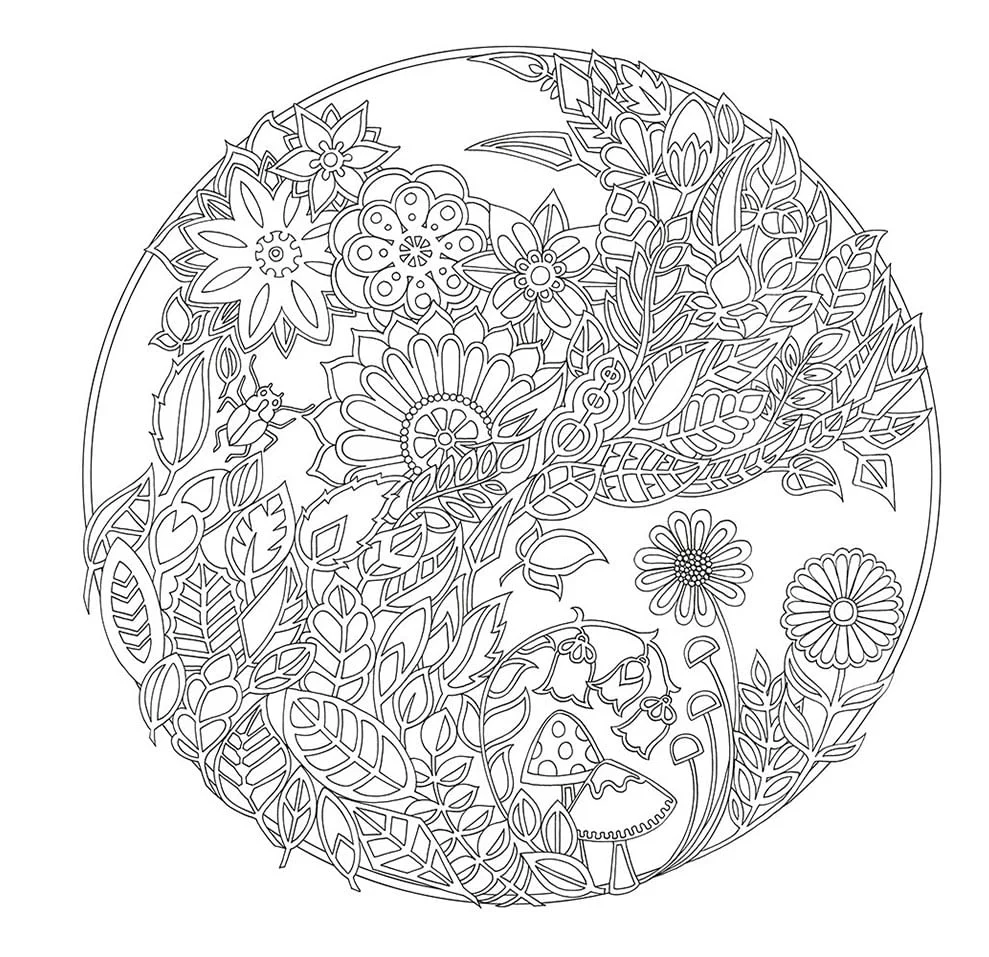 Imagen del producto 4