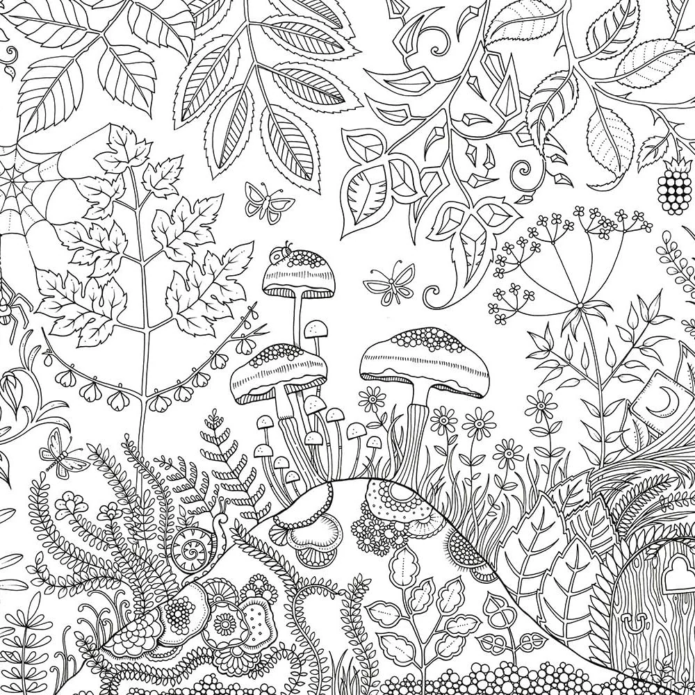 Imagen del producto 5