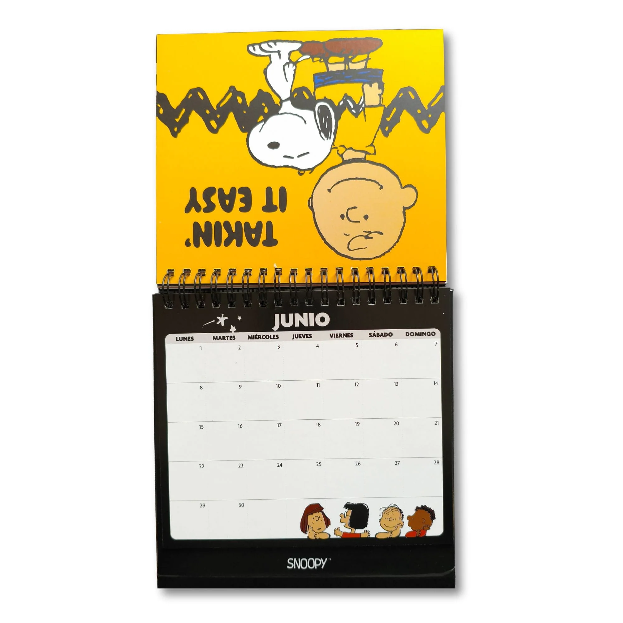 Imagen del producto 5