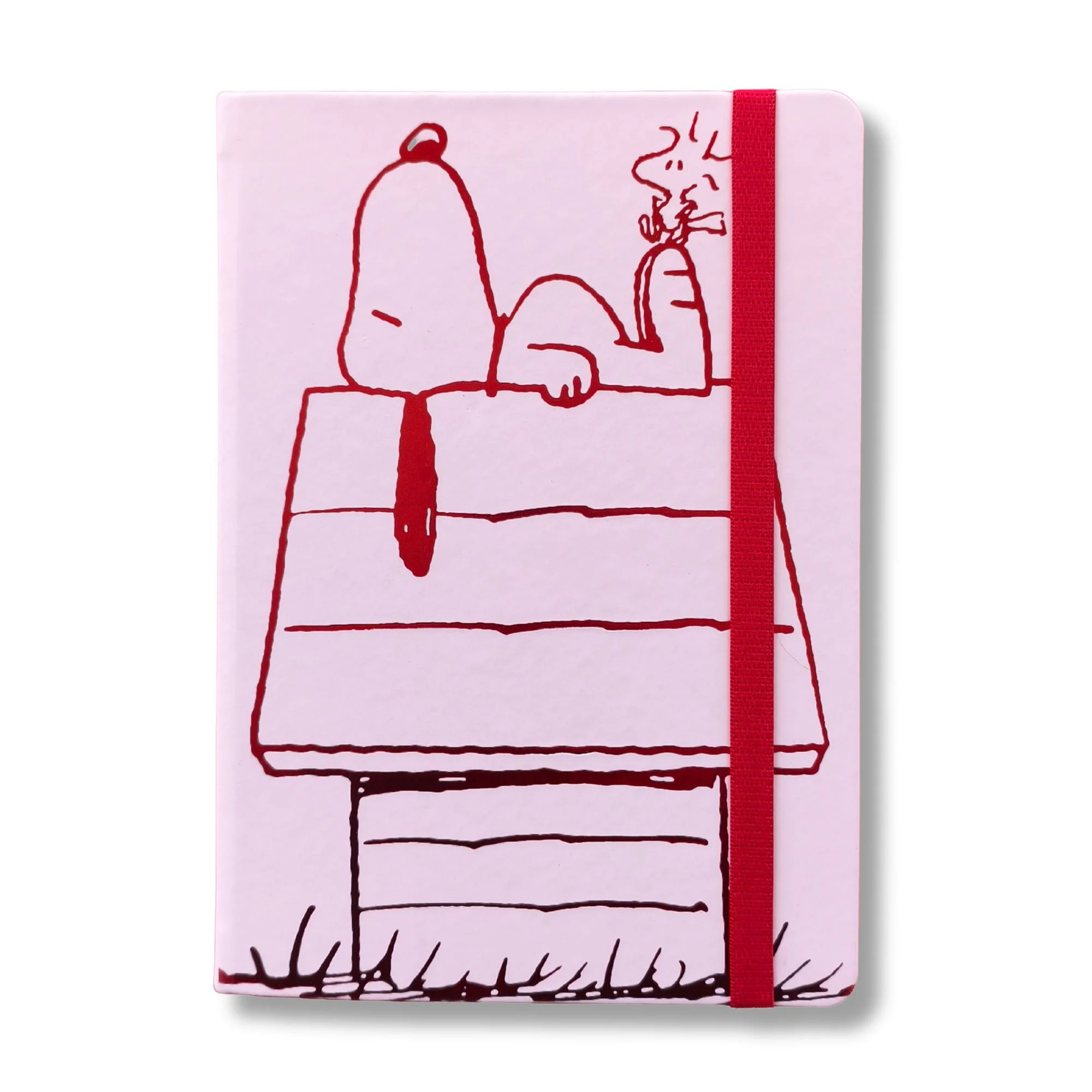 Miniatura 1