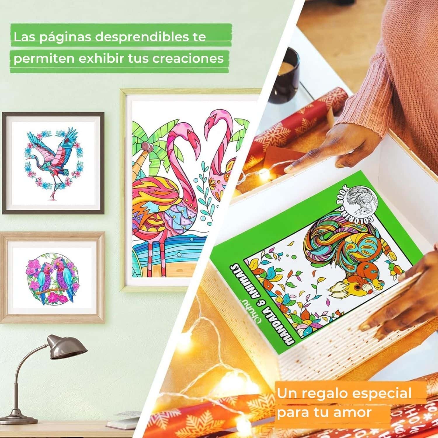 Imagen del producto 4
