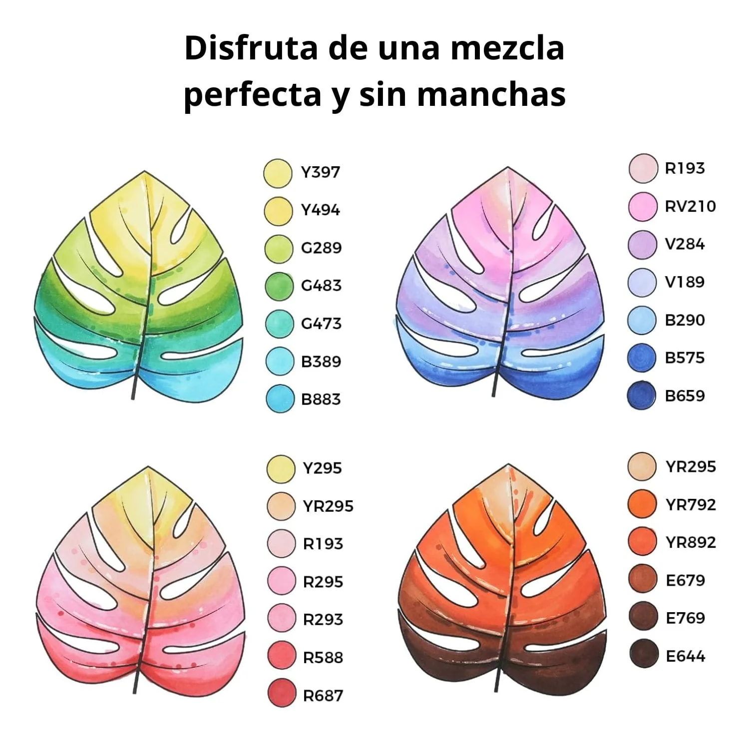 Imagen del producto 5