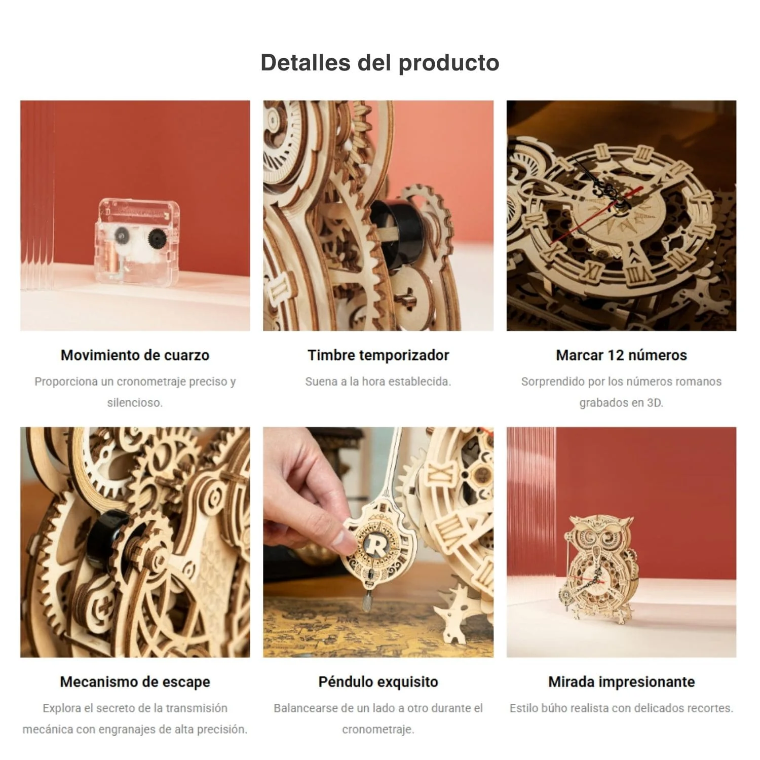 Imagen del producto 5