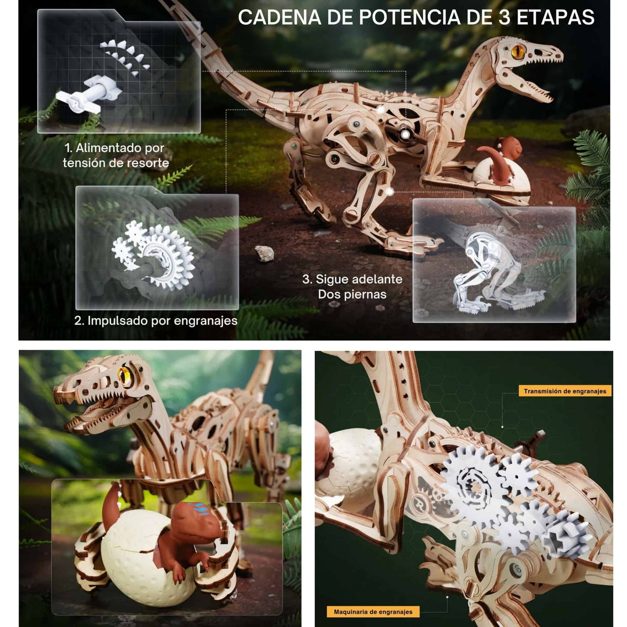 Imagen del producto 5