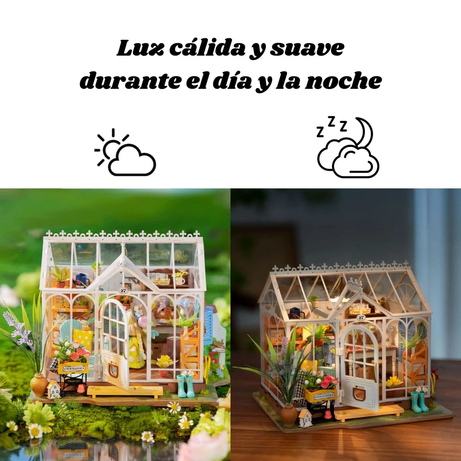 Imagen del producto 5