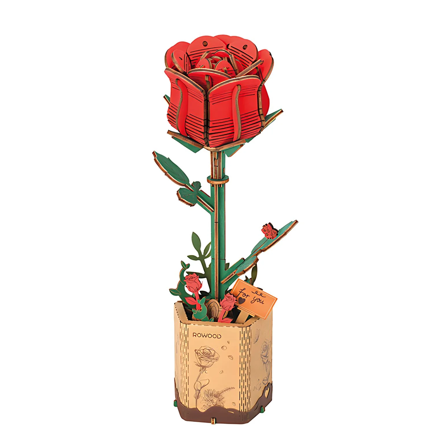 Miniatura 1