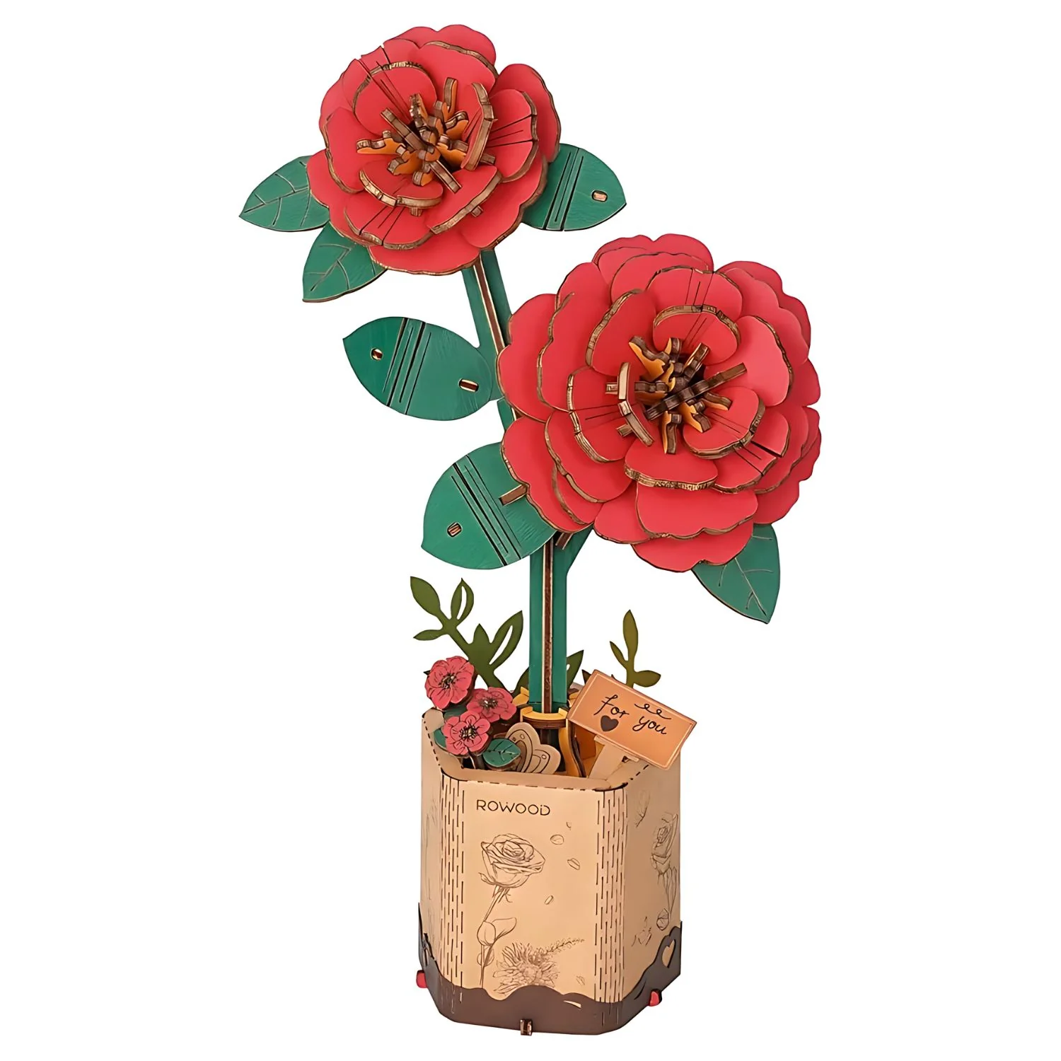 Miniatura 1