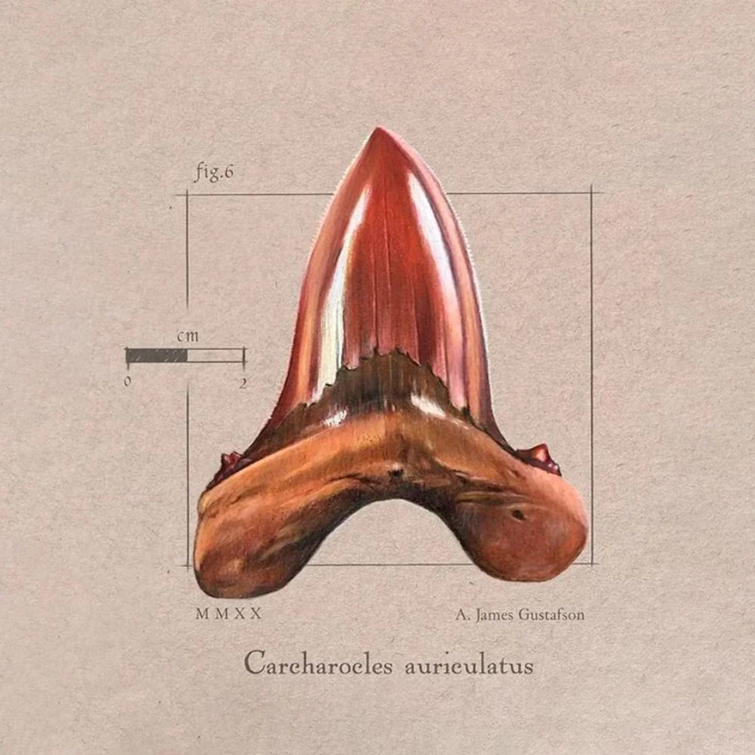 Imagen del producto 5