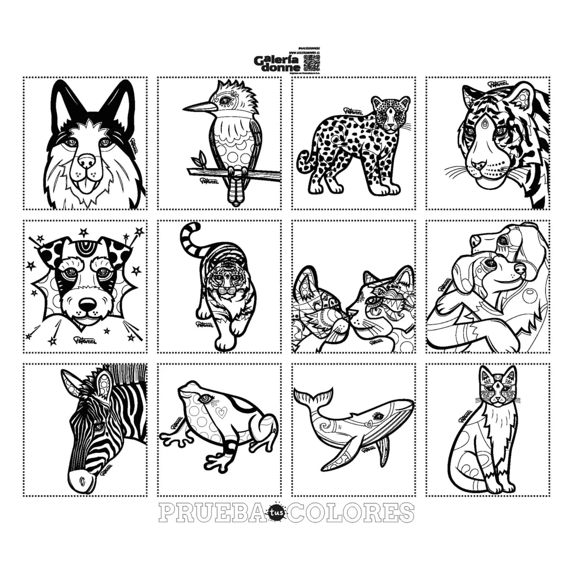 Imagen del producto 6